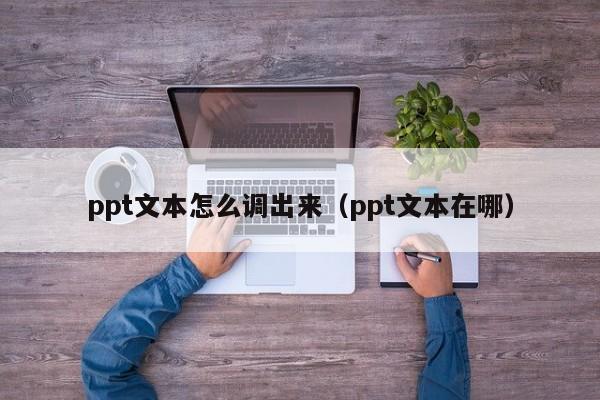 ppt文本怎么调出来(ppt文本在哪)