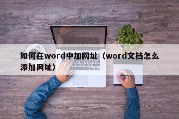 如何在word中加网址（word文档怎么添加网址）