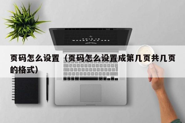 页码怎么设置（页码怎么设置成第几页共几页的格式）